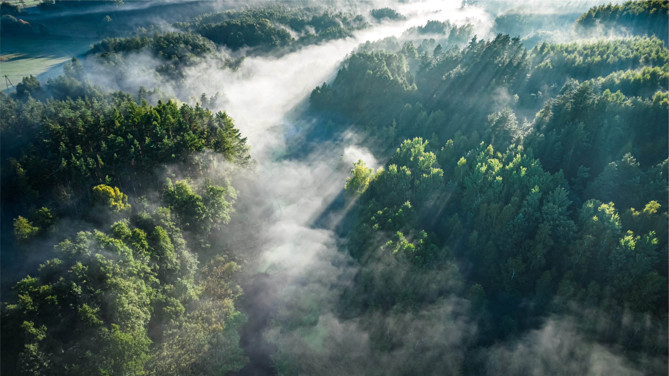 Protect the planet